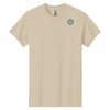 Heavy Cotton ™ 100% Cotton T Shirt Thumbnail